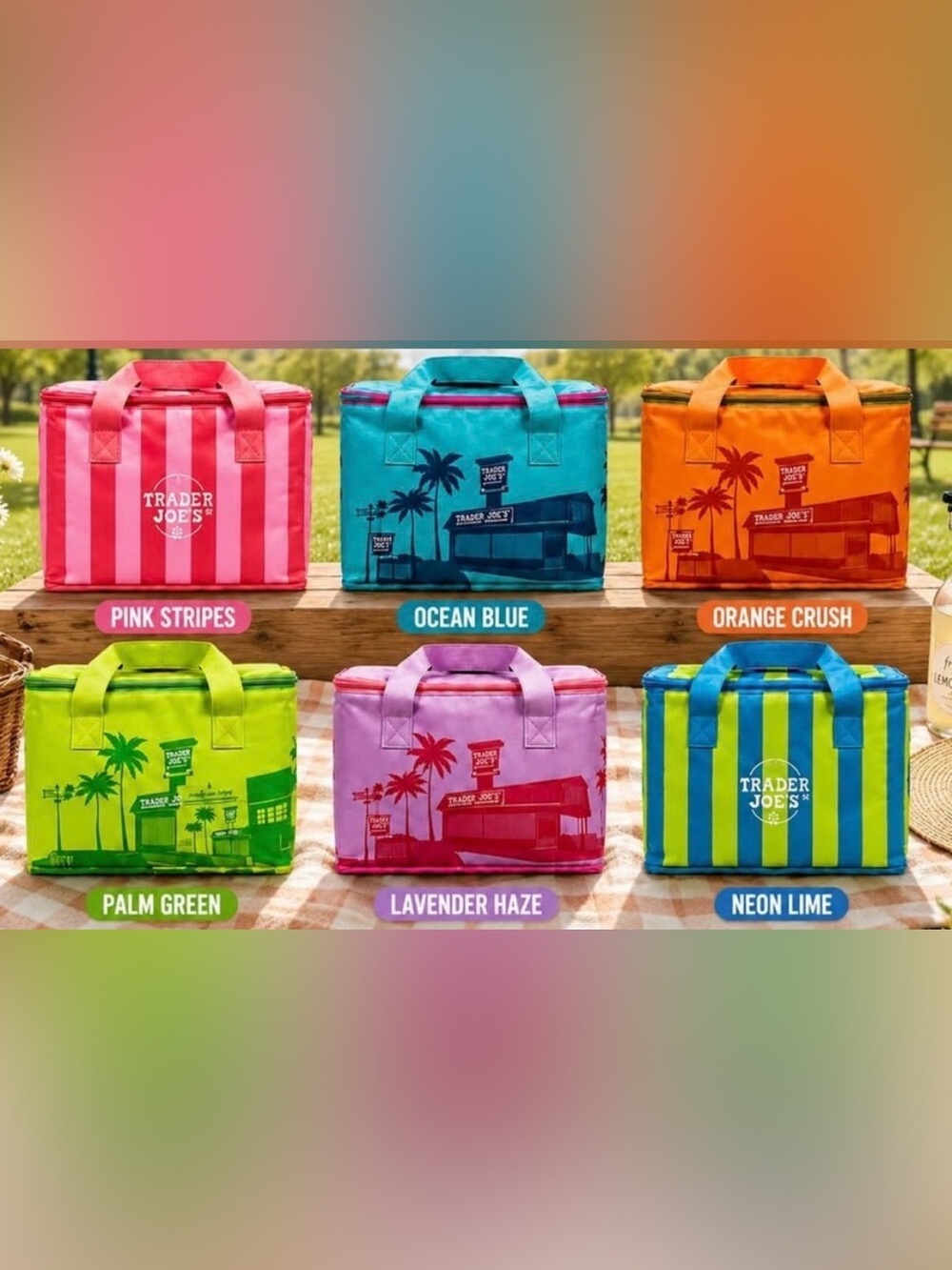 Trader Joe’s Mini Insulated Cooler set of 6